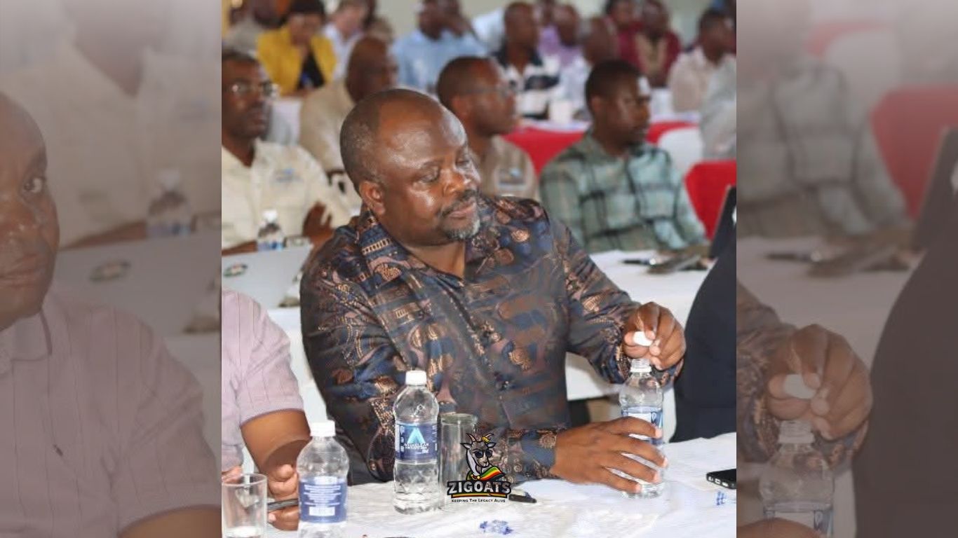 Chiredzi West MP Arrested: Suspected Abuse Of Constituency Development Funds Amidst Service Delivery Gaps