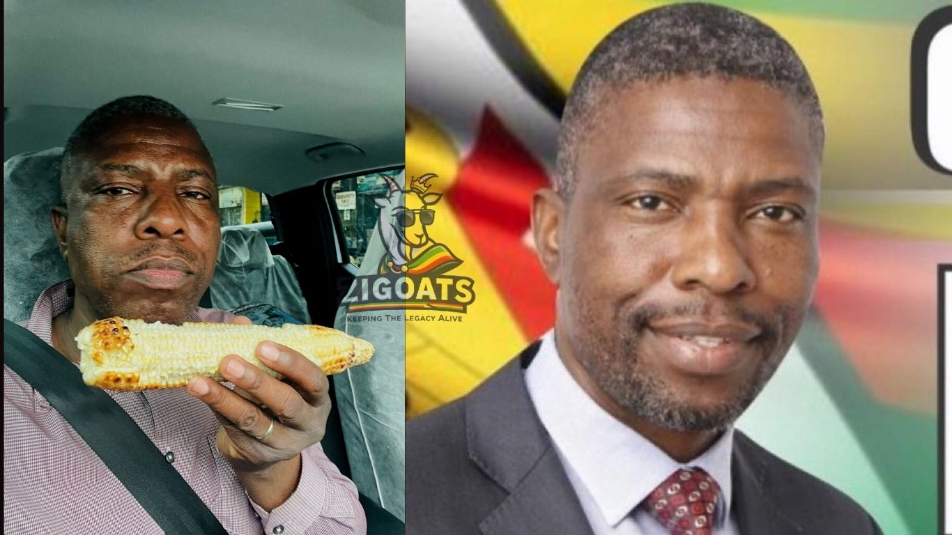 Former Chegutu West MP Dexter Nduna Arrested