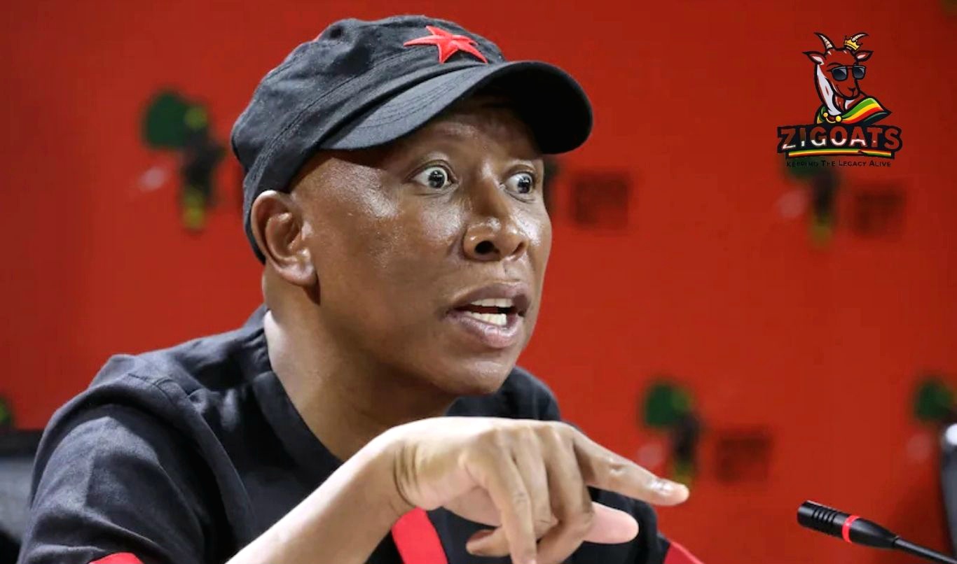 Malema Embraces Looming Jail Sentence: EFF Leader Defiant Amid Firearm Conviction