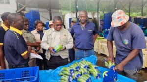 Secretary of Agriculture Prof. Dr. Obert Jiri toured Matanuska Estate in Burma Valley who farm bananas