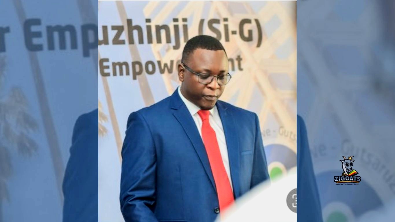 ED Challenger Sybeth Musengezi Launches New Party – Another Twist In Zimbabwe’s Rock‑Solid Politics