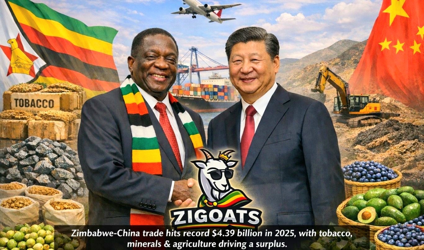 Zimbabwe-China Trade Surpasses US$4 Billion As Exports, Surplus Hit Record High