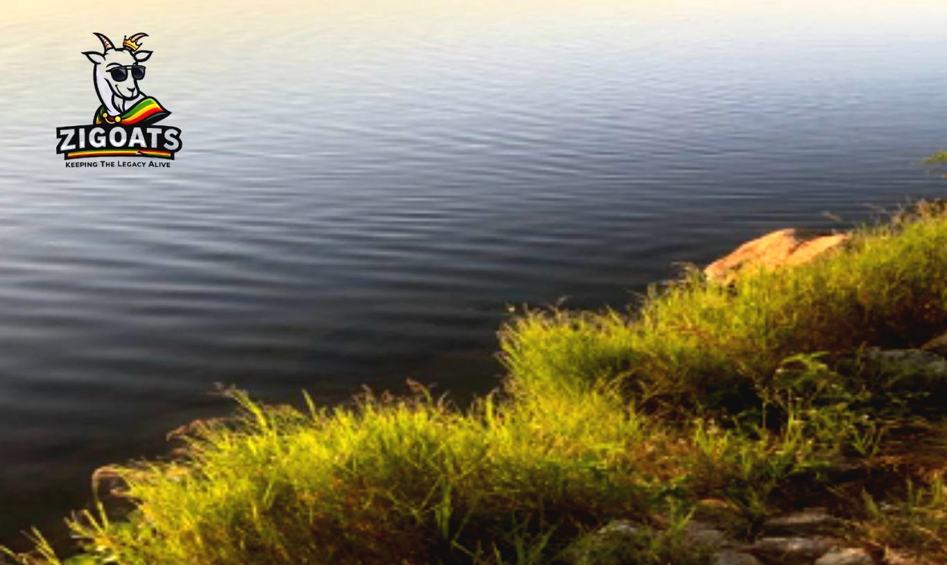 Most Dams Zimbabwe Dams Full To The Brim – ZINWA January 2026 Dam Levels Explained