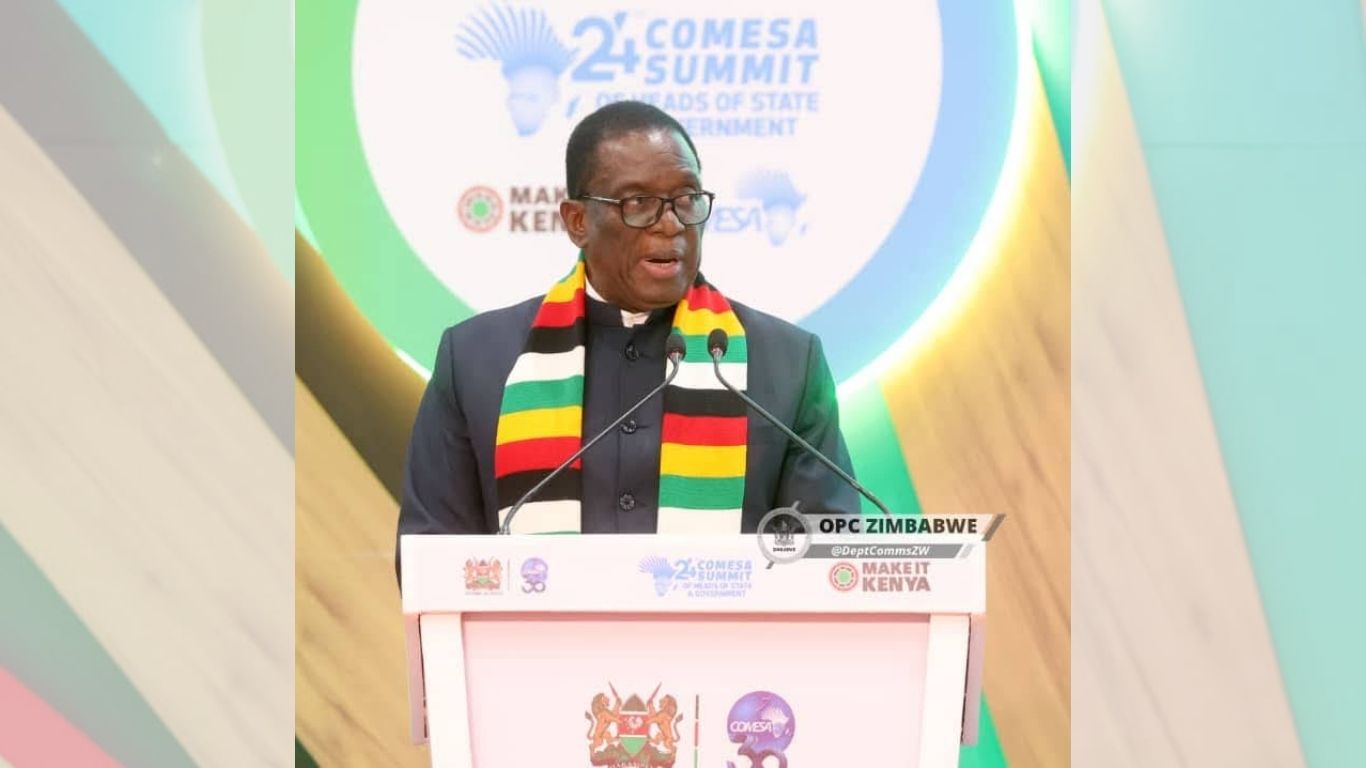 Zimbabwe To Deepen African Trade As COMESA Chair Under Mnangagwa