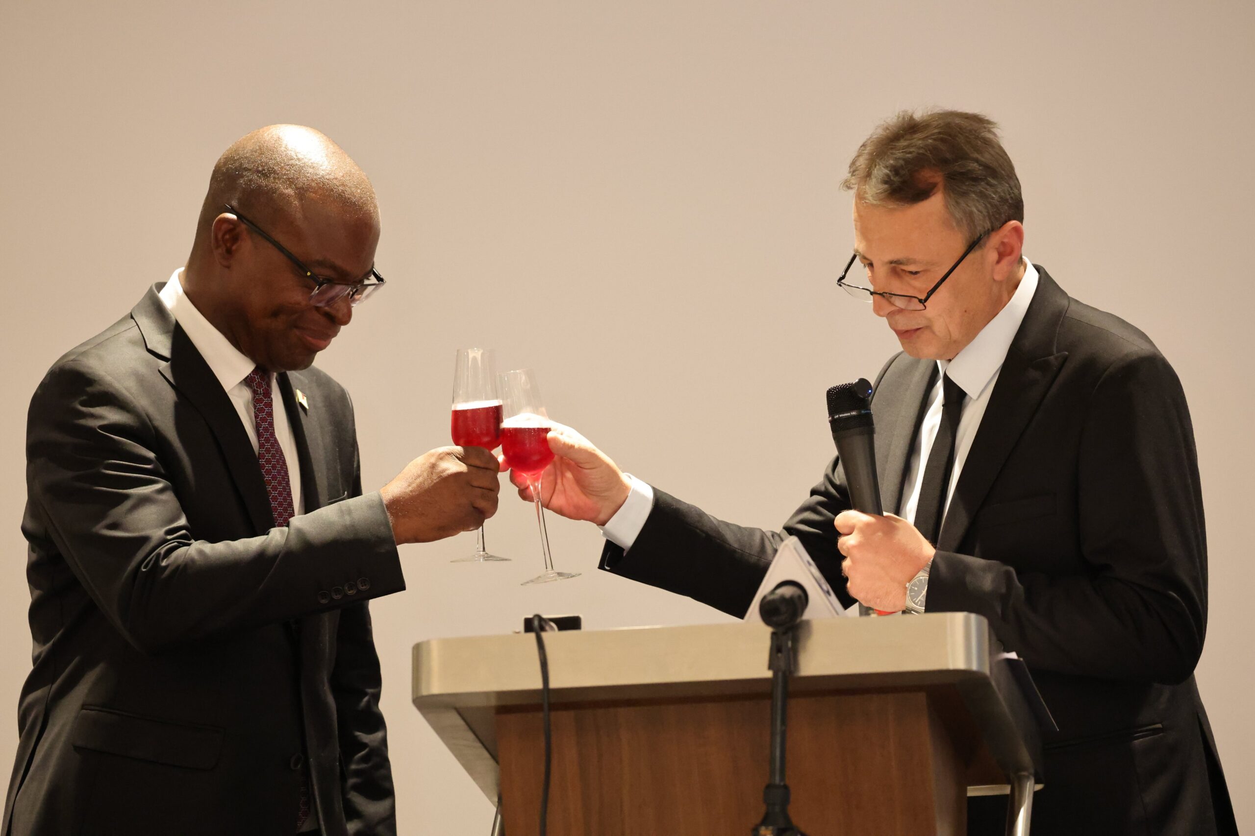 Serbia Endorses Zimbabwe For UN Security Council Seat