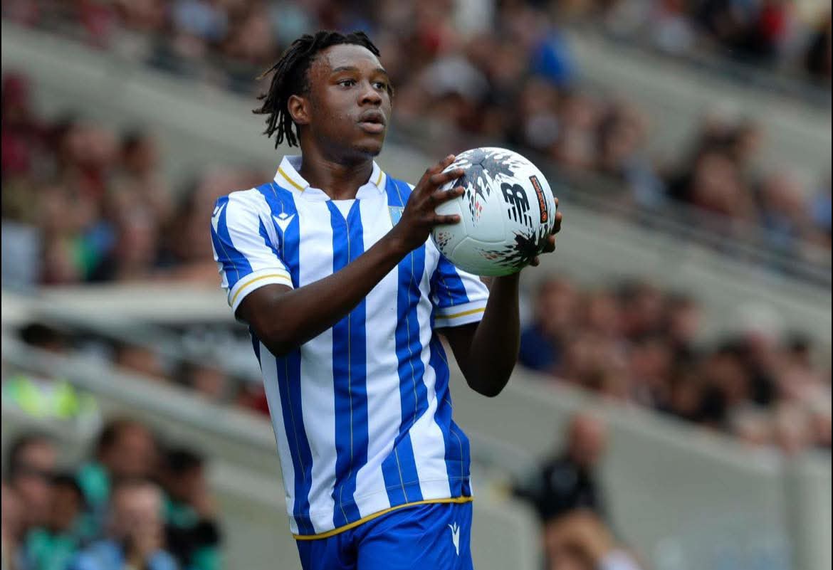 Sheffield Wednesday Preferred Bidder Withdraws, Zimbabwean Players Safe