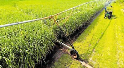 Hippo Valley Estates Clarifies Position After Tongaat Hulett Provisional Liquidation Application