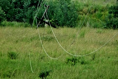 ZESA Ordered To Pay US$66 000 To Electrocution Victims Over Gross Negligence