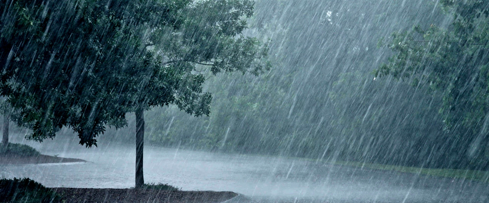 Zimbabwe Weather Alert: MSD Warns Of Heavy Rainfall And Widespread Thunderstorms