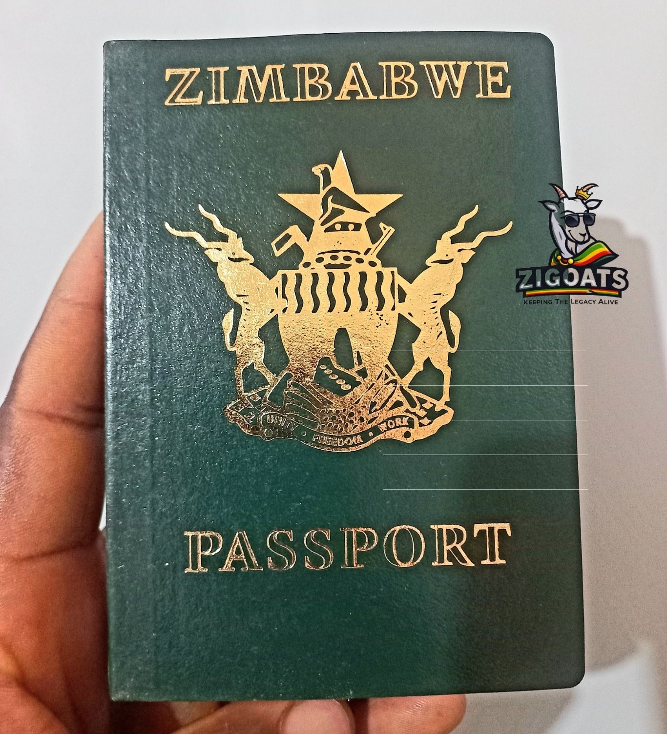 “Zimbabwean Passports Should Be Given For Free”