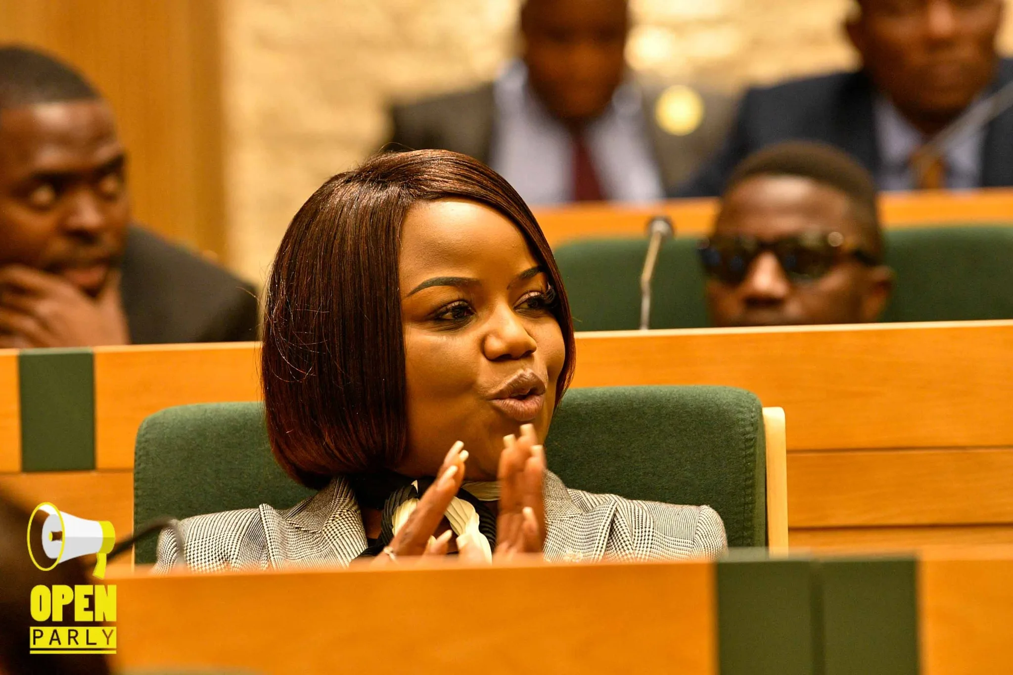 Mahere Says Proposed Constitutional Amendments Reintroduce Mugabe Clauses