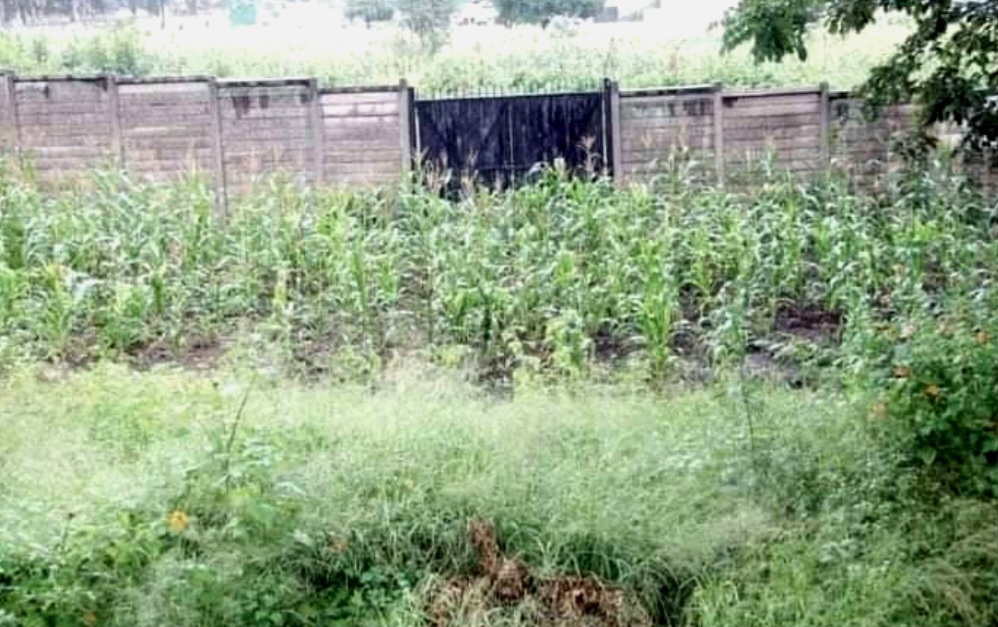 Harare Mayor Mafume Reiterates Plans To Renovate Gwanzura Stadium