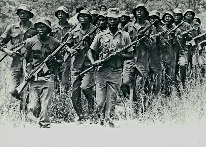 Retired Army Generals, War Veterans Oppose Proposed Zimbabwe Constitutional Amendments