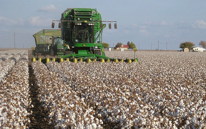 Zimbabwe Government Slashes Africa Bureaucracy In Bold Bid To Cut Farming Costs