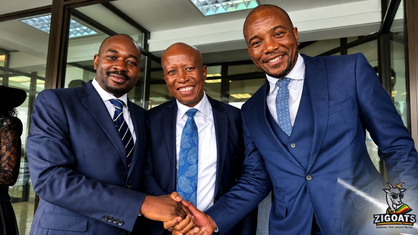 Nelson Chamisa Julius Malema Mmusi Maimane