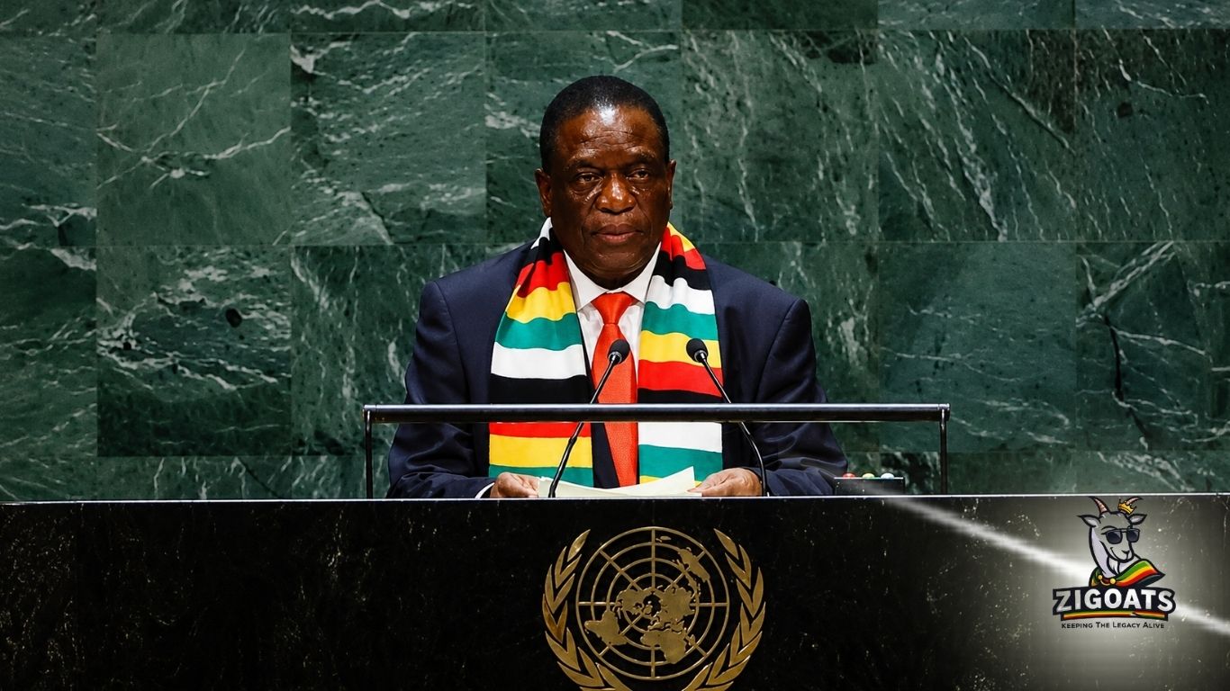 Zimbabwe Secures United Nations Security Council Seat, Mnangagwa Hails Diplomatic Milestone