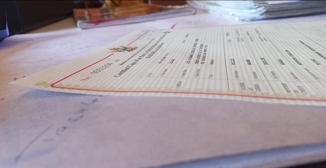 Probable Reasons Why Your Birth Certificate Is Still Not Ready Weeks, Months Or Even Years Later
