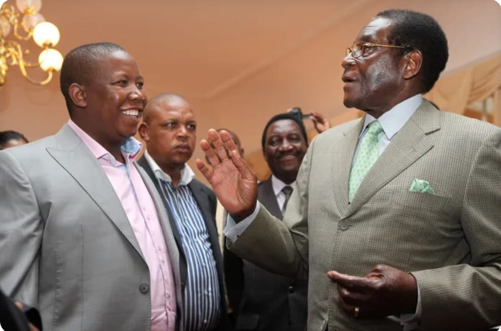 South Africa’s EFF Slams Mnangagwa Over CAB3, Says Zimbabweans Must Decide at the Ballot Box